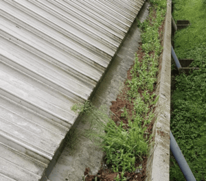Happy customers in Wraysbury who trust The Roof Moss Cleaners for gutter cleaning services
