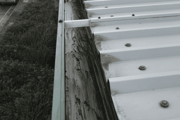 Commercial gutter cleaning specialists in Wraysbury